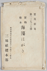 実物標本 海藻はがき / Real Specimens, Seaweed Picture Postcards image