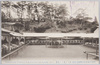 武州川和中山松林寺圃菊花壇　前ヨリ見タル全景/Nakayama Shōrimpo Chrysanthemum Gardens, Kawawa, Bushū: Full Frontal View of the Flower Beds image