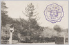 東宮殿下御手植松(内宮神苑内)/Pine Tree Personally Planted by His Imperial Highness the Crown Prince (in the Sacred Garden of the Naikū (Kōtaijingū) Shrine) image