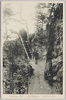 獅子岩の奇勝(飯能遊覧地)/Striking View of the Shishiiwa Rock (Hannō Pleasure Resort) image