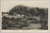 天覽山全景(飯能遊覧地)/Full View of Mt. Tenran (Hannō Pleasure Resort) image