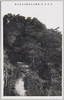 飯盛山白虎隊士自刃の趾/Site on the Iimoriyama Hill Where the Byakkotai (White Tiger Force) Members Committed Suicide by the Sword image