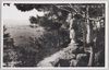 飯盛山上より鶴ケ城を望む白虎隊石像/Statue of the Byakkotai (White Tiger Force) Overlooking Tsuruga Castle from the Top of the Iimoriyama Hill image