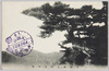 久能山上物見の松/Monomi no Matsu Pine Tree on Mt. Kunō image