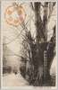 官幣小社大国魂神社馬場/Riding Ground of Ōkunitama Shrine image