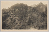 武蔵御嶽山全景/Panoramic View of Mt. Mitake, Musashi image