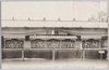 菊花床上花壇(中山松林圃)/Chrysanthemum Flower Bed (Nakayama Shōrimpo) image