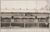 菊花床上花壇(中山松林圃)/Chrysanthemum Flower Bed (Nakayama Shōrimpo) image