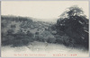 楽寿楼より水戸公園を望/View of Mito Park From Rakujurō image