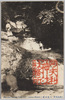 (大山名所)八段の滝/(Famous Landmarks of Mt. Ōyama) Hachidan Falls image