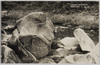 (御嶽昇仙峡)人面石/(Mitake Shōsenkyō Gorge) Jinmenseki image