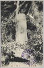 芭蕉ノ碑/Bashō Monument image