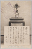 武州川和中山松林圃菊花/Chrysanthemums of Nakayama Shōrimpo at Kawawa, Bushū image