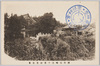越後柏崎三十番神堂全景/Panoramic View of Sanjū-ban Shindō, Kashiwazaki, Echigo image