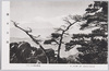 国立公園　パノラマ台の風光/National Park, View From the Panoramic Viewing Platform image