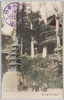 高尾山五重の塔/Five-storied Pagoda, Mt. Takao image