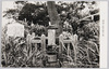 阿波十郎兵衛の墓/Grave of Awa Jūrōbei image
