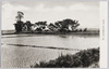 阿波十郎兵衛死刑の松/Awa Jūrōbei, Pine of Execution image
