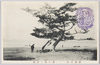 (宗吾名勝)甚兵衛ノ渡場/(Scenic Beauties of Sōgo) Jimbei no Watashiba image