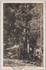甲州身延山菩提梯と波木井公銅像/Bodaitei Steps and Bronze Statue of Lord Hakii at Minobusan, Kōshū image