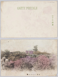 東京日比谷公園 / Hibiya Park, Tokyo image