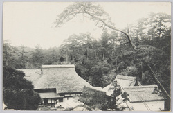 武州川和松林圃 / Kawawa Shōrimpo, Bushū image