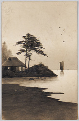 水辺風景 / Waterside Scenery image