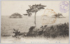 松島　馬放島より館島を望む/Matsushima, View of Yakata Island From Mahanashi Island image