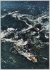 次々と巻き起る渦の間を縫って進む観潮船/Tide-watching Boats Weaving Their Way Through a Succession of Whirlpools image