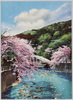 湯本温泉朝日橋の桜花/Cherry Blossoms at Asahibashi Bridge, Yumoto Onsen image