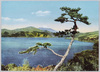 恩賜公園よりの芦の湖/View of Lake Ashi From Onshi Park image