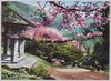 強羅公園/Gōra Park image