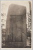 裏面/Back image