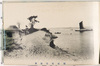 羽田穴守海岸/Anamori Beach, Haneda image
