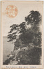 江の島名所　天台山ノ松籟/Famous Landmarks of Enoshima, Wind Whistling Through the Pine Trees at Mt. Tendai image