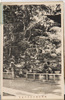 武州高尾山三十六童子/36 Dōji of Takaosan, Bushū image