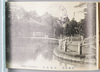 川崎大師公園池畔/Kawasaki Daishi Heikenji Temple, Pond in the Park  image