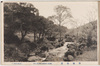 熱海梅園/Plum Garden in Atami image