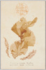 江島神社参拝紀念　あさくさのり　紅藻類　うしけのり科/Memorial Picture Postcards Commemorating a Visit to the Enoshima Shrine, Asakusanori (Pyropia Tenera), Red Algae, Bangiaceae Family (Seaweed) image