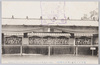 菊花床上花壇(中山松林圃)/Chrysanthemun on Yukauekadan (Raised Flowerbed), (Nakayama Shōrinpo Garden) image