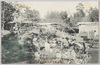 武蔵国川和虎渓園後庭/Rear Garden of the Kokeien Gardens in Kawawa Yokohama image