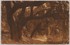MOSS　COVERED　OAKS,　NEAR　PASO　ROBLES　HOT　SPRINGS,　CAL./MOSS COVERED OAKS, NEAR PASO ROBLES HOT SPRINGS, CAL. image