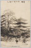(奈良)興福寺塔/(Nara) Kōfukuji Tower image