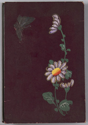 花に蝶のアルバム(紫)所収絵葉書 / Album of a Picture Postcard Collection of Flowers and Butterflies (Purple) image