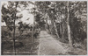 式内郷社田縣神社奥宮全景　名岐鉄道大曽根線味岡駅下車/Panoramic View of Inner Shrine of the Shikinaigōsha Tagatajinja Shrine, Ajioka Station on the Ōzone Line of Meigi Railways image