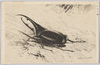 かぶと虫/Japanese Horned Beetle image