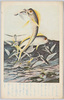 とびうを/Flying Fish image