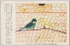 全国小中学生募集絵画作品　小鳥の絵/National Painting Competition for Primary and Junior High School Students, Little Birds image
