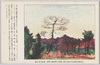 全国小中学生募集絵画作品　風景の絵/National Competition of the Paintings by the Primary and Junior High School Students, Landscape  image