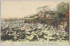 東京上野不忍ノ蓮花/Tokyo Ueno, Lotus Flowers on Shinobazu Pond image